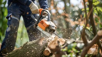 Baum wird gefällt © Gartenbau-org iStock Getty Images Plus