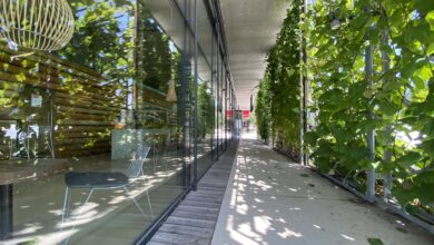 Begrünung © AUER/ BOKU University