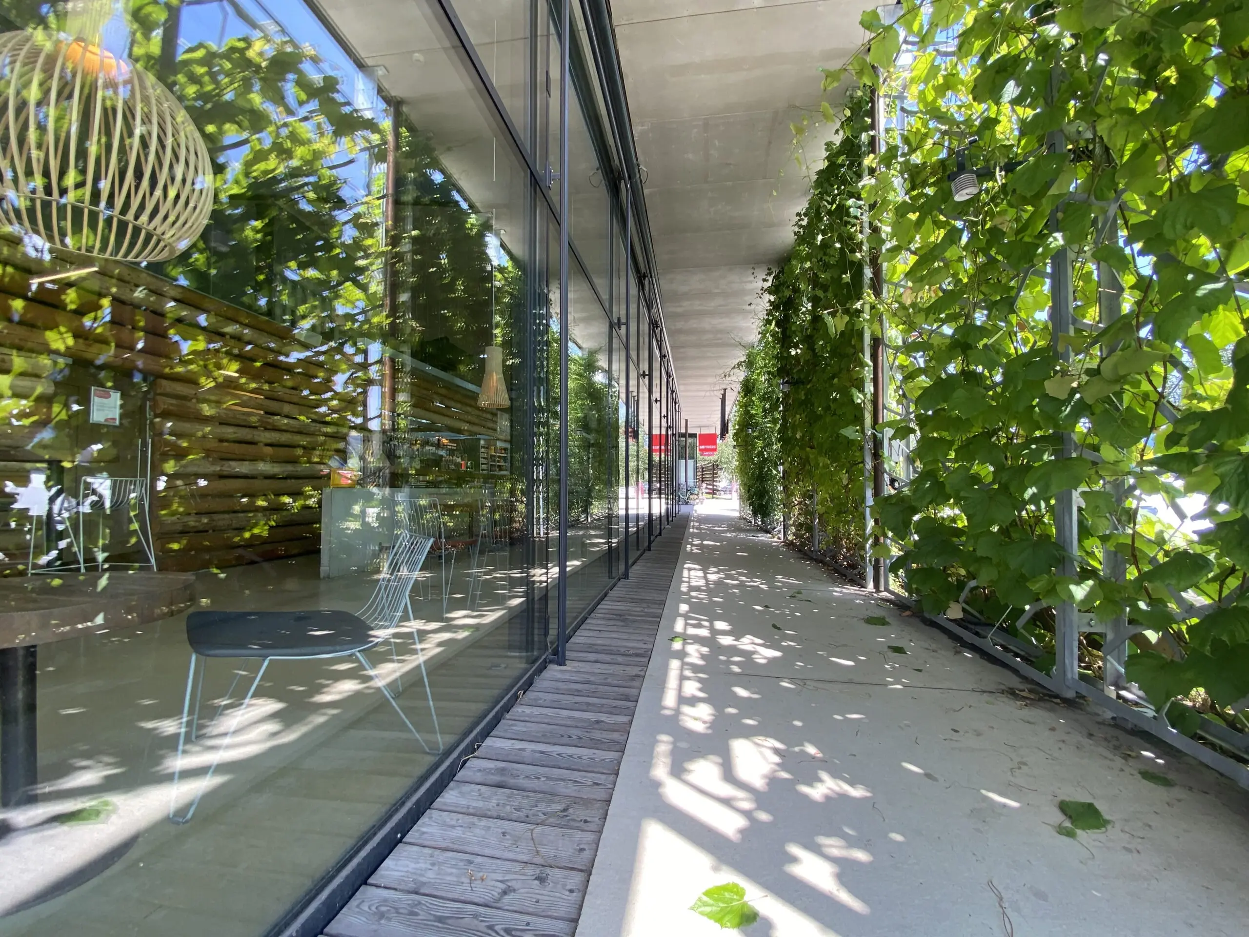 Vertikales Grün für kühlere Gebäude und besseres Stadtklima
