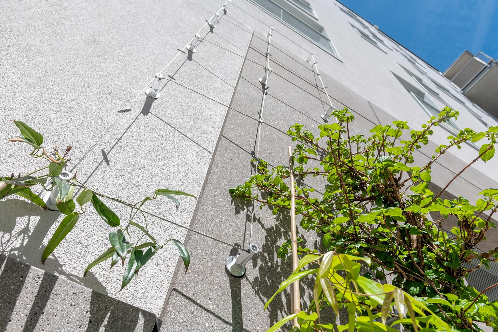Nachhaltige Lösungen an der Fassade