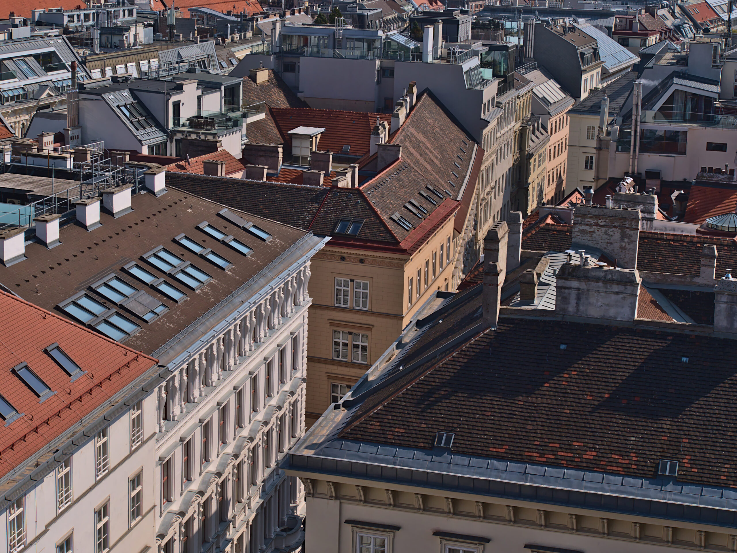 Blick über Dächer von Altbauten Wiens