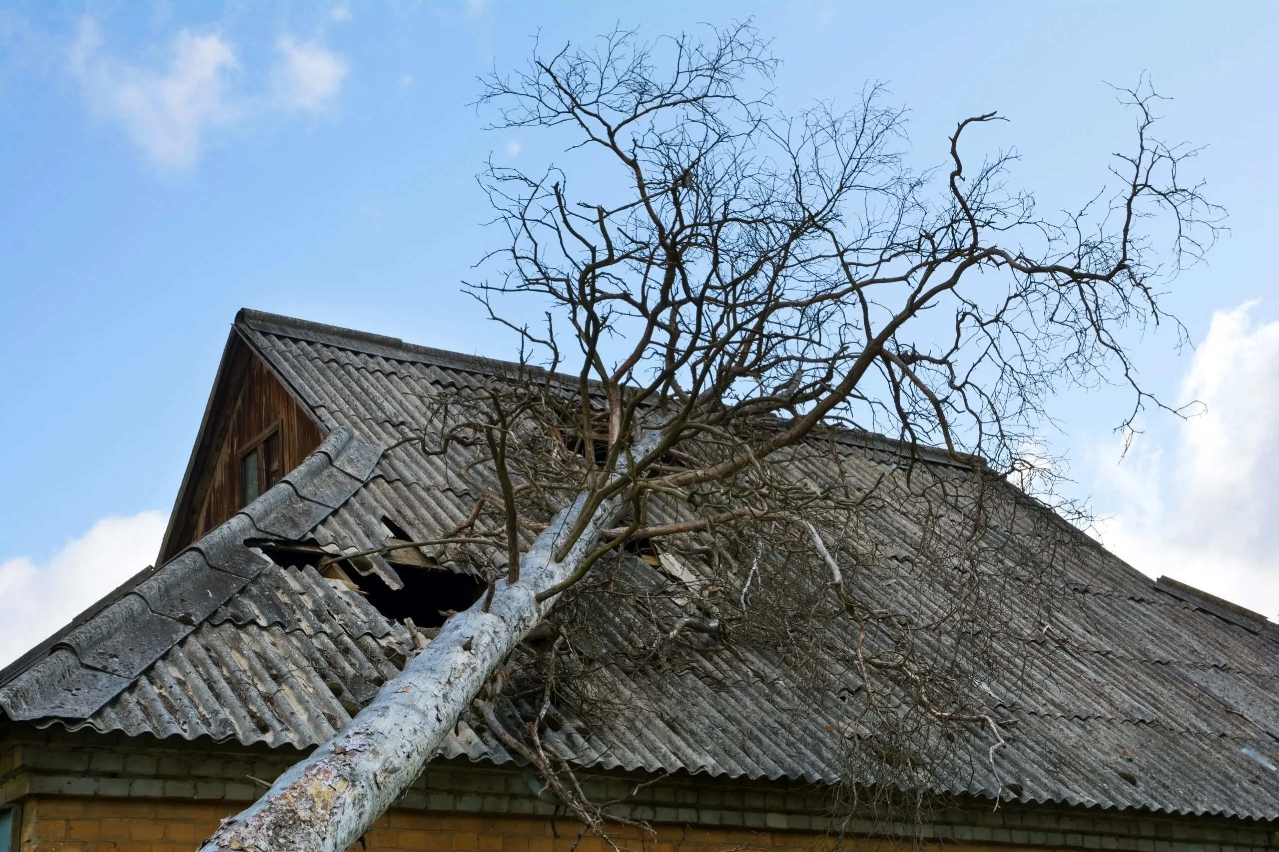 Klimaresilientes Bauen und Naturgefahrenmanagement  