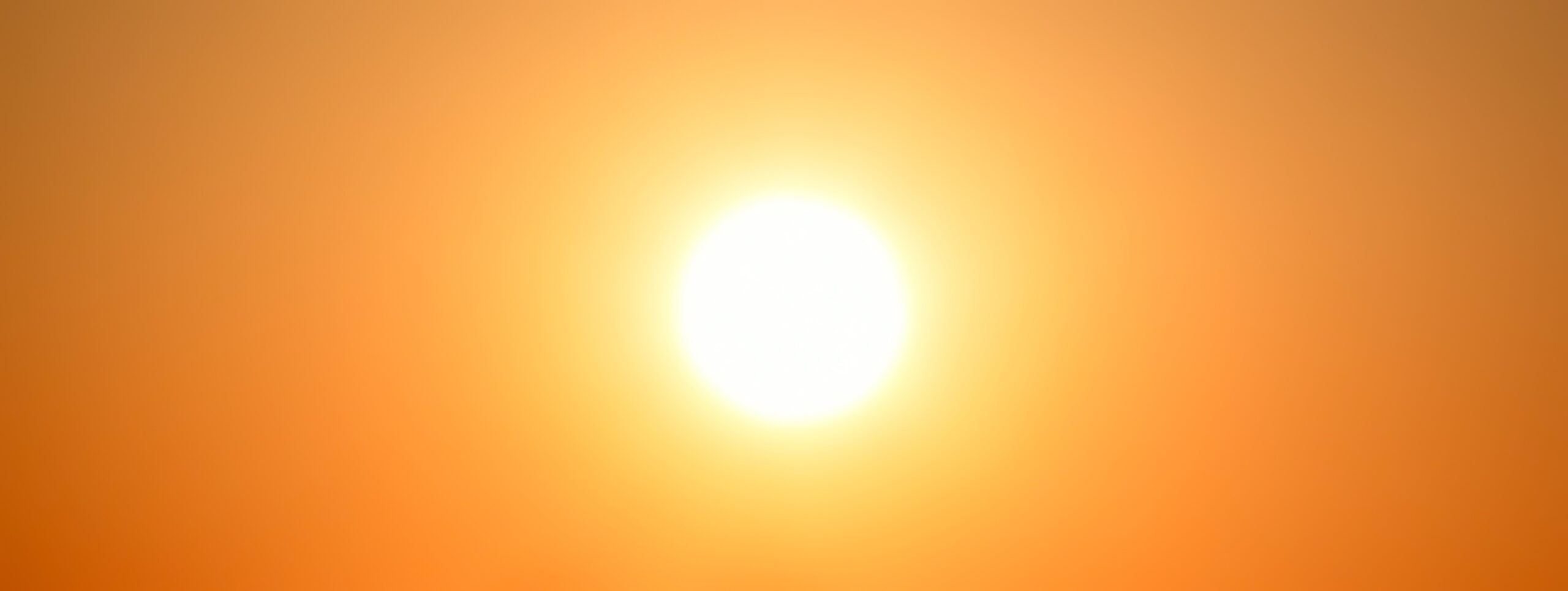 Hot Summer in The City